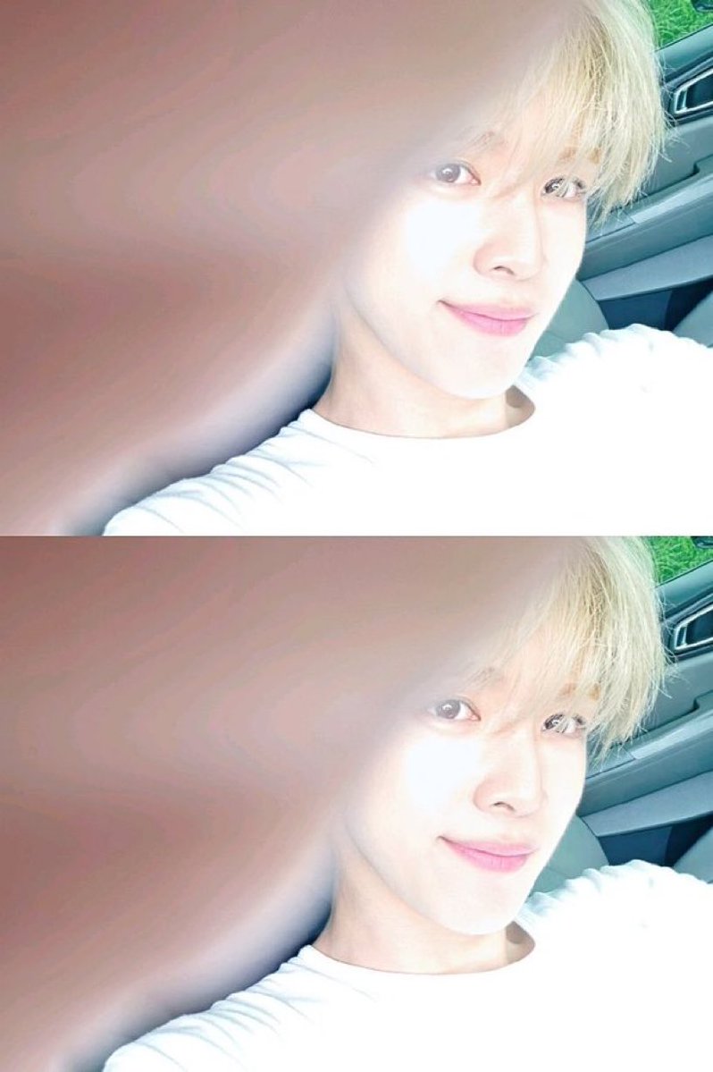 SS91319's tweet photo. 아무리천사강아지여도이럴수는없는거예요
봐도봐도씹말안돼진짜 https://t.co/r6fJGVd1cW