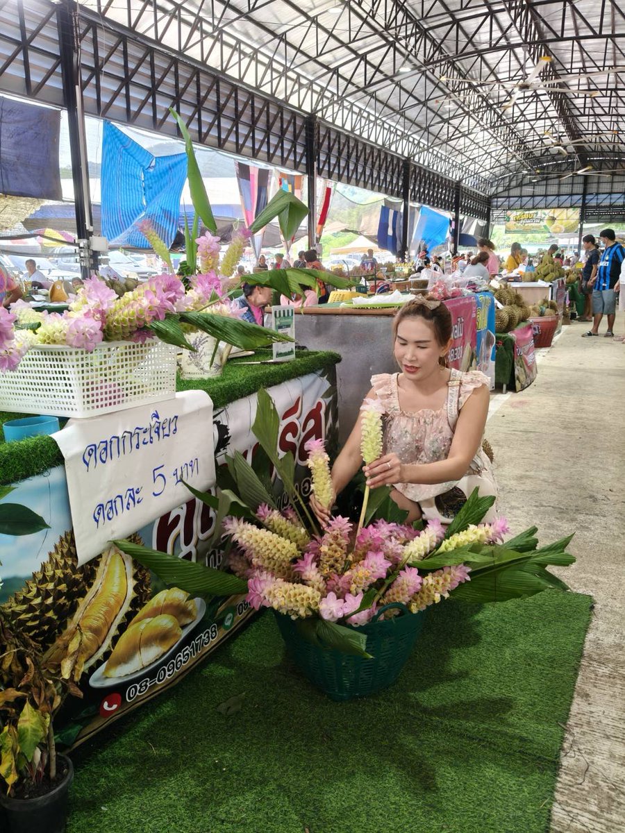 okiuir's tweet photo. #อุตรดิตถ์
แวะมาทักทาย https://t.co/lkUWHb1YSu