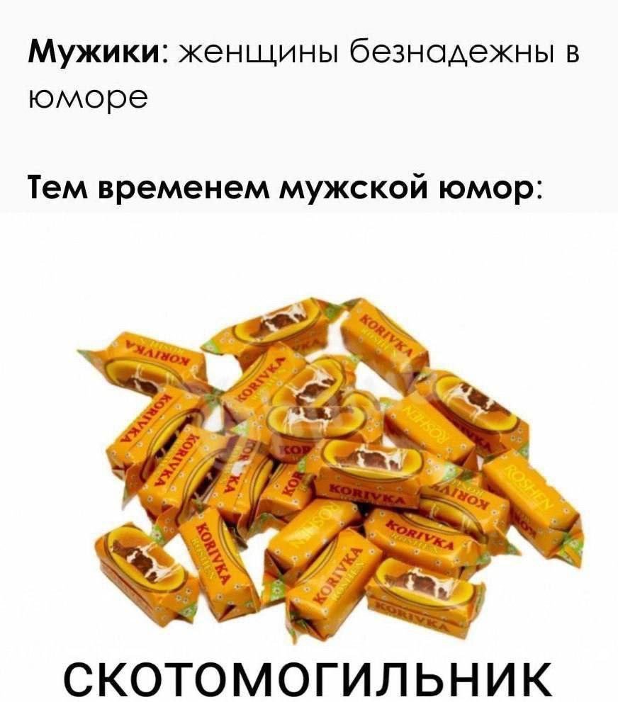 ЗлойКоть tweet media