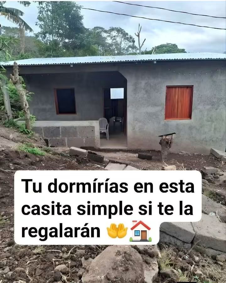 Zorrito tweet media
