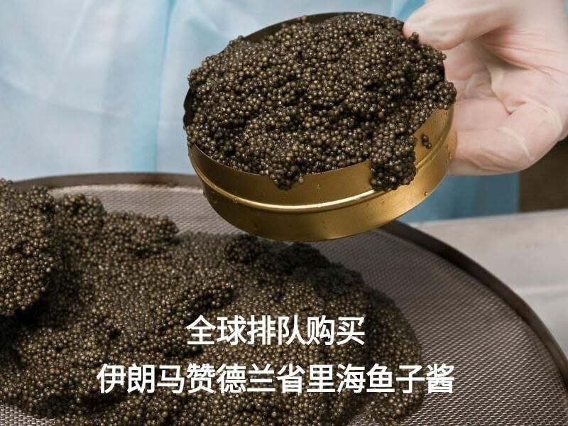 ParsTodayChina's tweet photo. 伊朗马赞德兰省里海黑珍珠；鱼子酱的美名已传遍全球，如今在当前的形势下，各国纷纷要求进口和购买这一里海珍贵产品。
伊朗马赞德兰省拥有里海南岸最长的海岸线及众多河流，是该国水产养殖和渔业活动的领先省份之一。
马赞德兰省每年生产约3万吨各类水产品。#Iran 
#IranianCaviar https://t.co/mFDnwjg2Kv