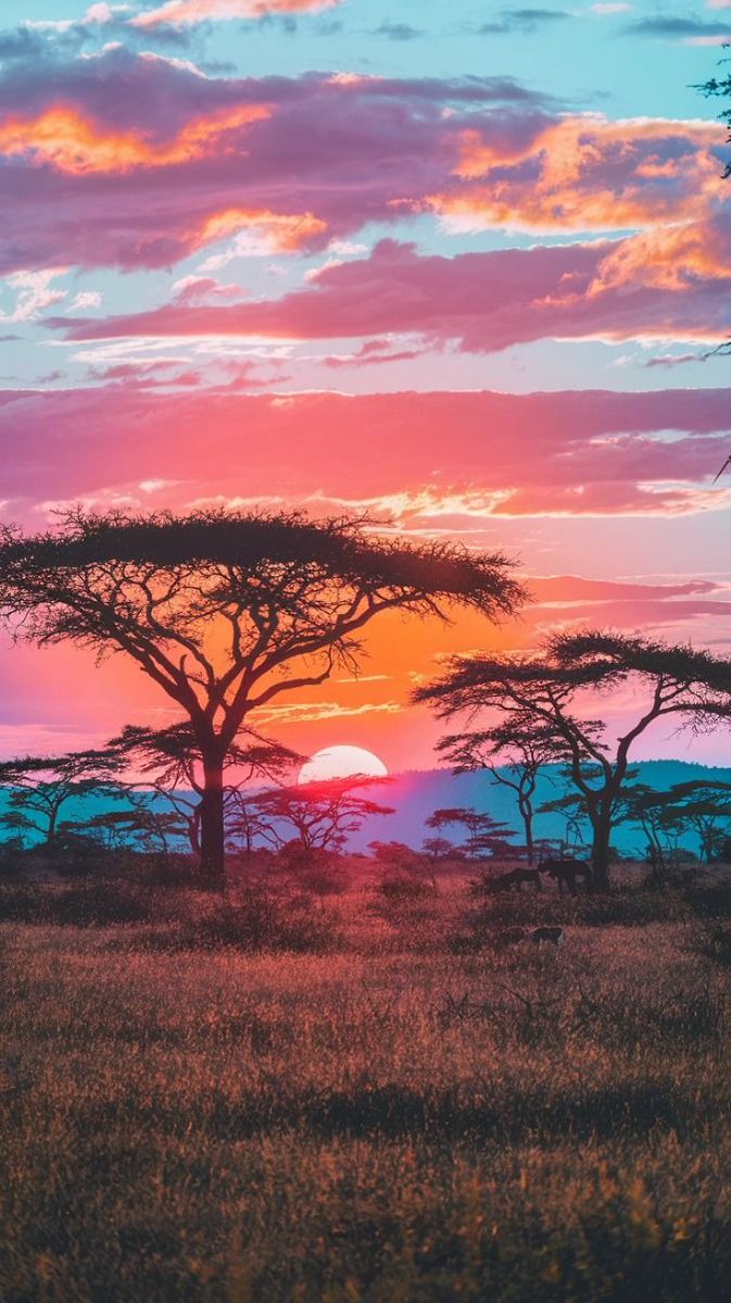 naturebeautyh's tweet photo. Sunset over https://t.co/Gq54VuIooB