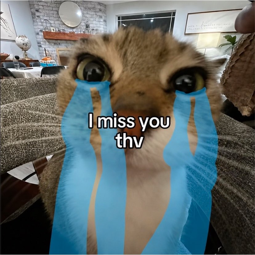 thvbbi's tweet photo. https://t.co/8jcaCkuhJy