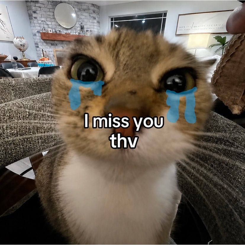 thvbbi's tweet photo. https://t.co/8jcaCkuhJy