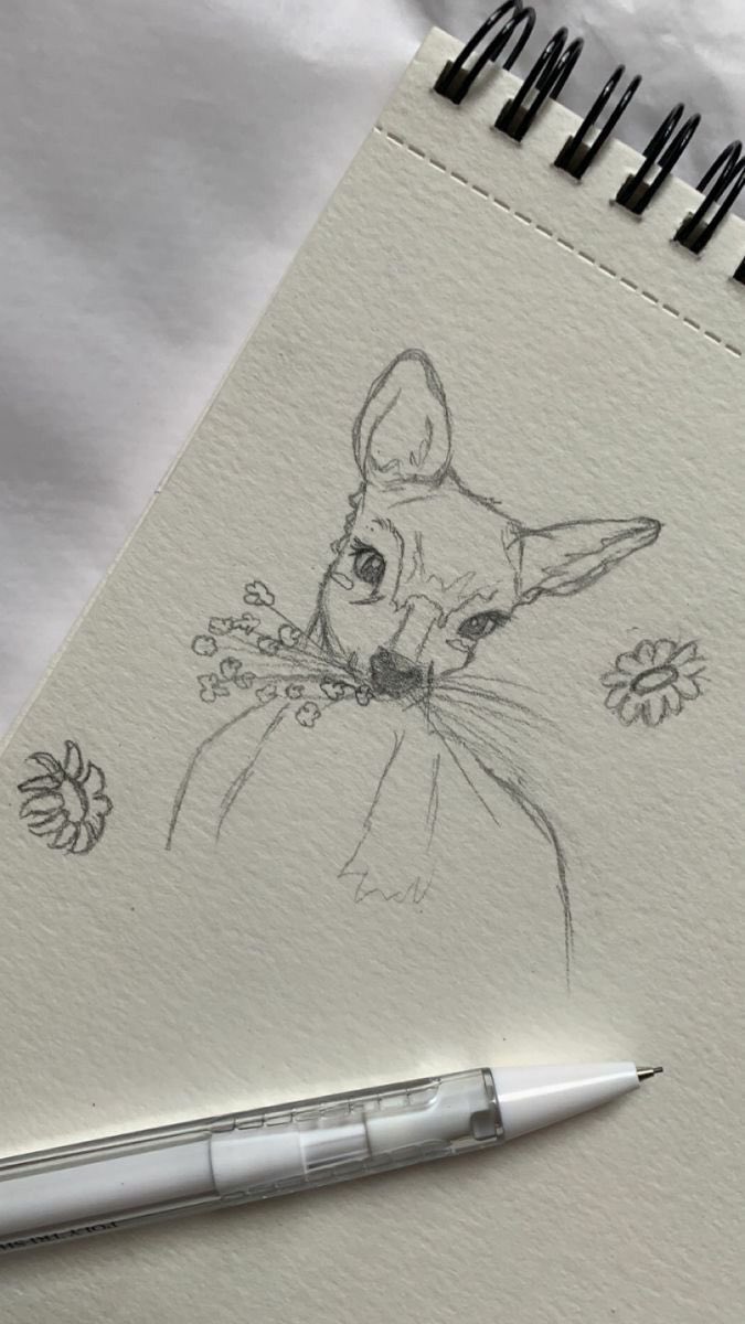 bloomele_'s tweet photo. Art https://t.co/fKxxvxaTkz