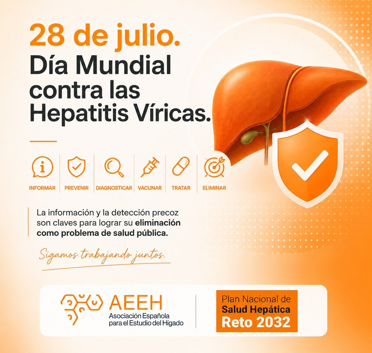 AEEHLiver's tweet photo. 🌎 En el #DíaMundialContraLaHepatitis, desde la #AEEH reafirmamos nuestro compromiso con la prevención, el diagnóstico precoz y el acceso equitativo al tratamiento de las #hepatitisvíricas. 

💪Avanzar hacia su eliminación como problema de #saludpública exige una información rigurosa, el cribado sistemático y una mayor concienciación social.

👏👏Gracias a todos nuestros expertos y expertas que investigan y trabajan por conseguir este objetivo. ¡Sigamos trabajando juntos!

🧡#WorldHepatitisDay #DíaMundiaHepatitis #SaludHepática #OMS2030