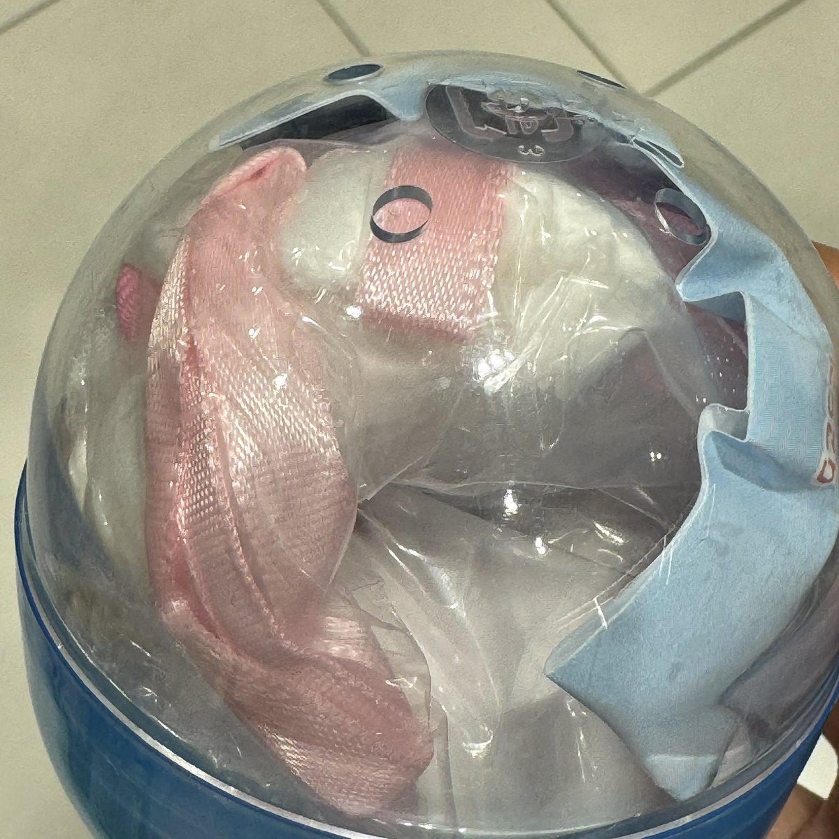 021_5_andF09's tweet photo. シナモロール ぬいぐるみ ポシェット
譲)ウィンク
求)たっち
本日川崎また後日横浜手渡しor郵送交換
お気軽にお声かけください https://t.co/8gXyC9M5Fl