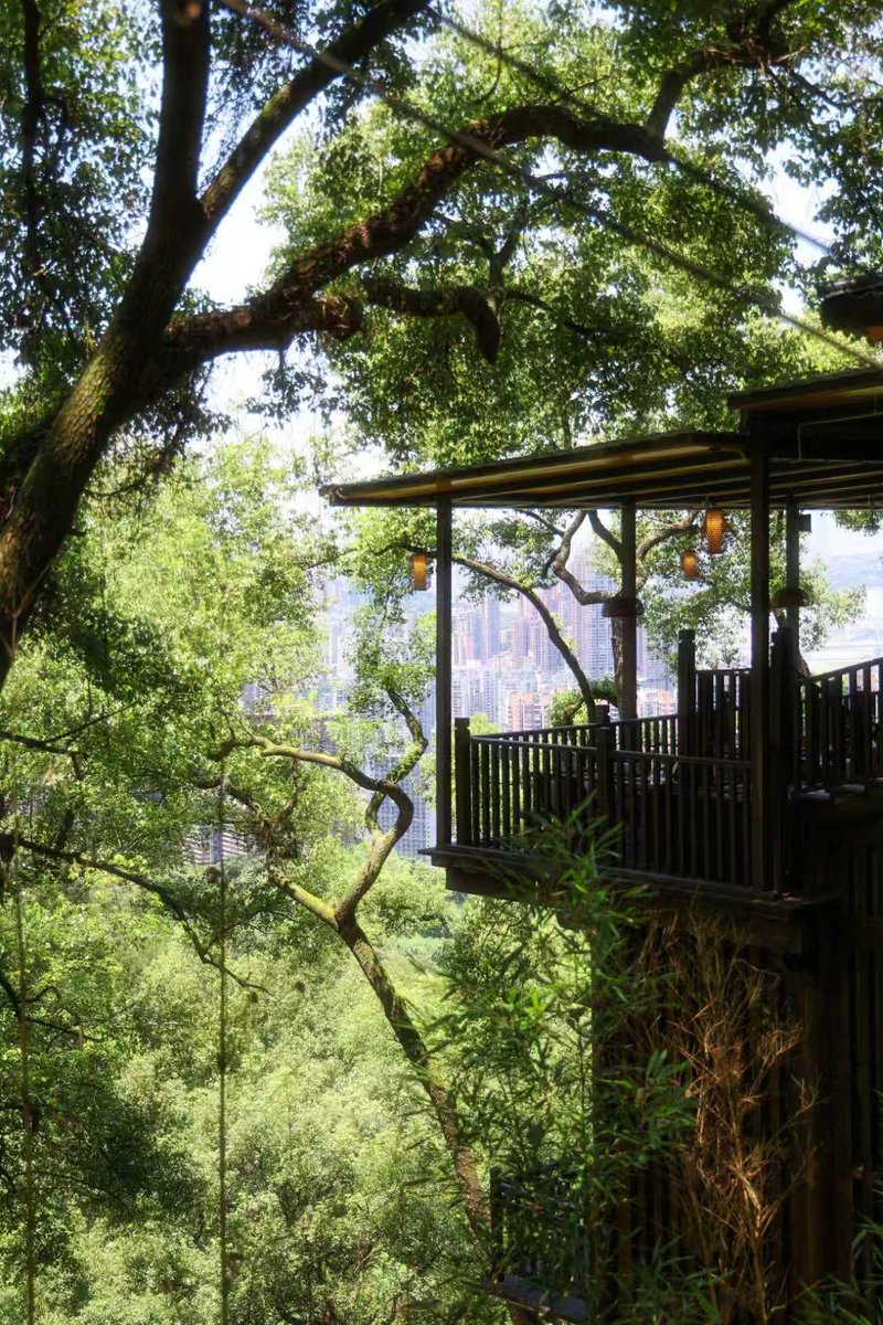 iChongqing_CIMC's tweet photo. Across this mountain city, people find their own ways to slow down and enjoy the season.🍃

#Chongqing #ChinaTravel #SummerInChongqing #MountainCity #RiverView #Heat https://t.co/1nMzj4NkMU