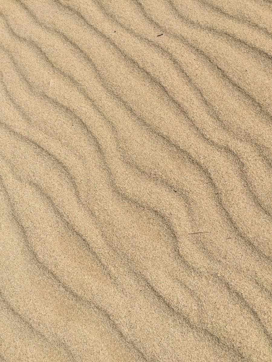 earthcurated's tweet photo. Fun Fact: 🌌 There are more stars in the universe than grains of sand on all Earth's beaches. https://t.co/OxJu5BSSGC