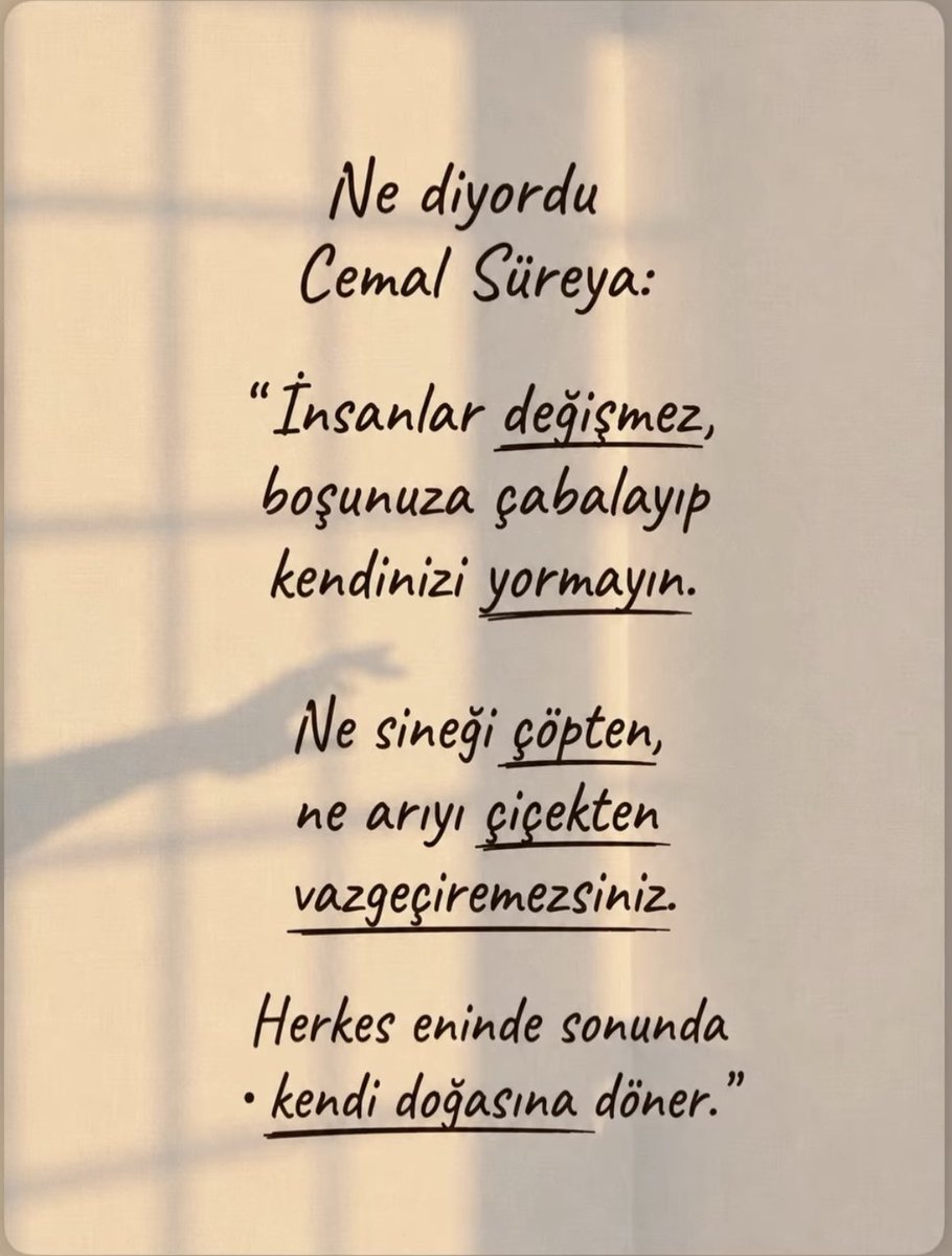 aslisavv's tweet photo. 👇 https://t.co/XuXQRkSUsO
