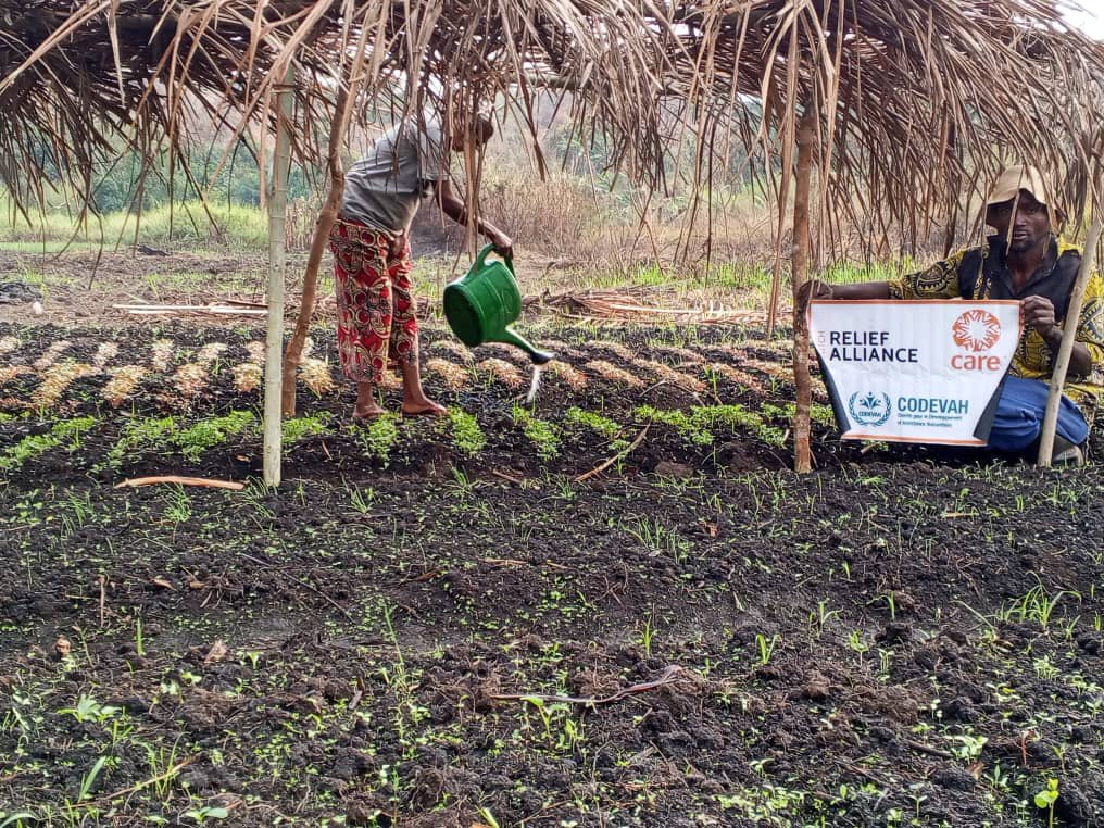 codevah's tweet photo. 🌱Projet DRA ZS Fizi : Après la distribution des intrants agricoles,les champs communautaires de Kichula et Kananda montrent des résultats encourageants. Une initiative mise en œuvre par @codevah en partenariat avec @caredrc pour renforcer la sécurité alimentaire des communautés. https://t.co/fvcxLnmkZk