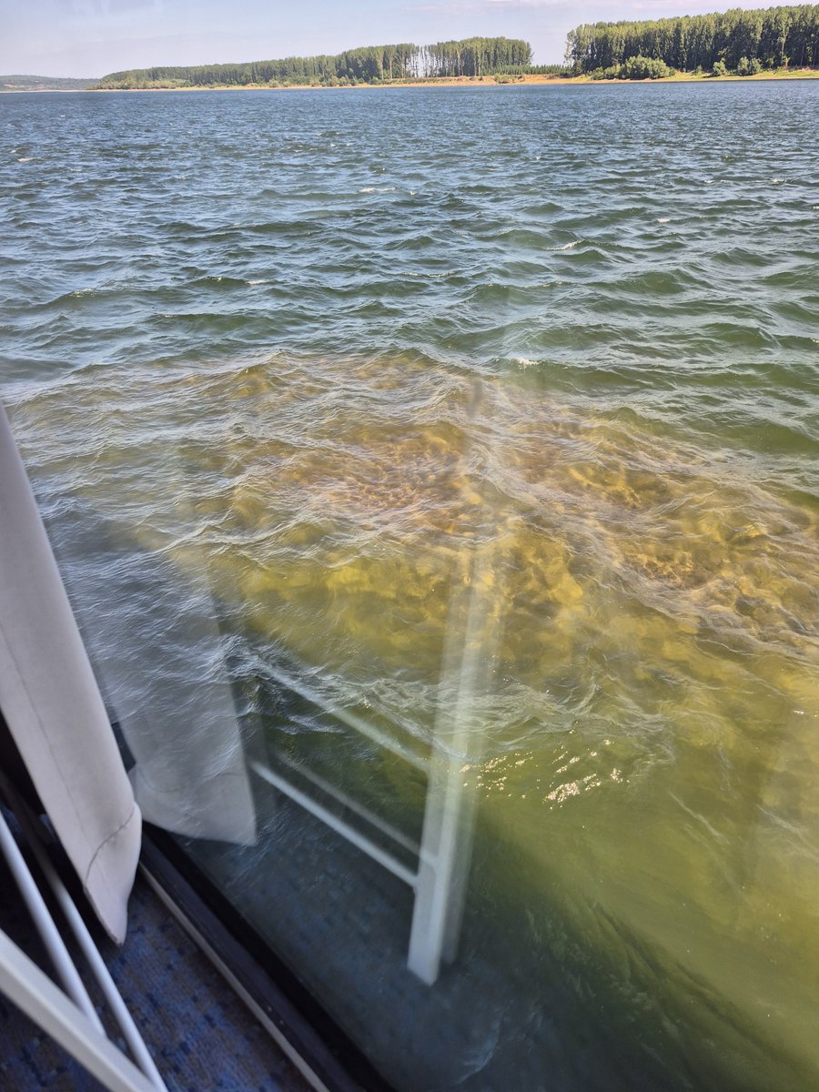 Sarannah68's tweet photo. Status update: on a river cruise from Budapest to Bucharest. We've had delays and cancellations all week due to low river levels. 
Last night at Midnight we hit a sandbank, and haven't moved since. Currently awaiting another rescue attempt 🤣  #rivercruise #sandbank #stuck https://t.co/3wfCeSYvjh