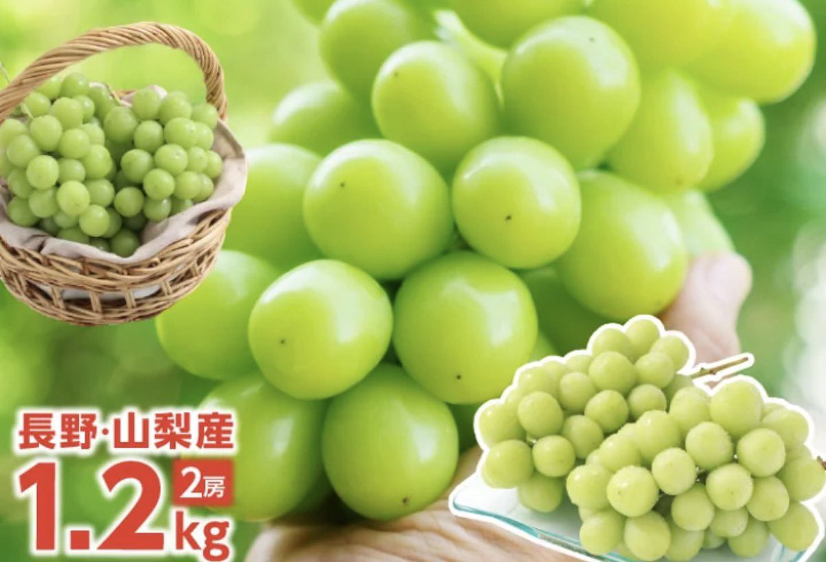 yui_memomemo's tweet photo. 一粒が大きくて、皮ごとパリッ。
噛んだ瞬間、果汁がじゅわっと広がる。

「これ、スーパーのとは別物だね」
家族が一瞬でなくした。

山梨・長野の秀品だけを厳選。
しかも2房で約1.2kg。

冷蔵庫にあるだけで幸せ感じる。

贈り物にも、自分へのご褒美にも間違いないやつ。 https://t.co/i2Sgnq8xId