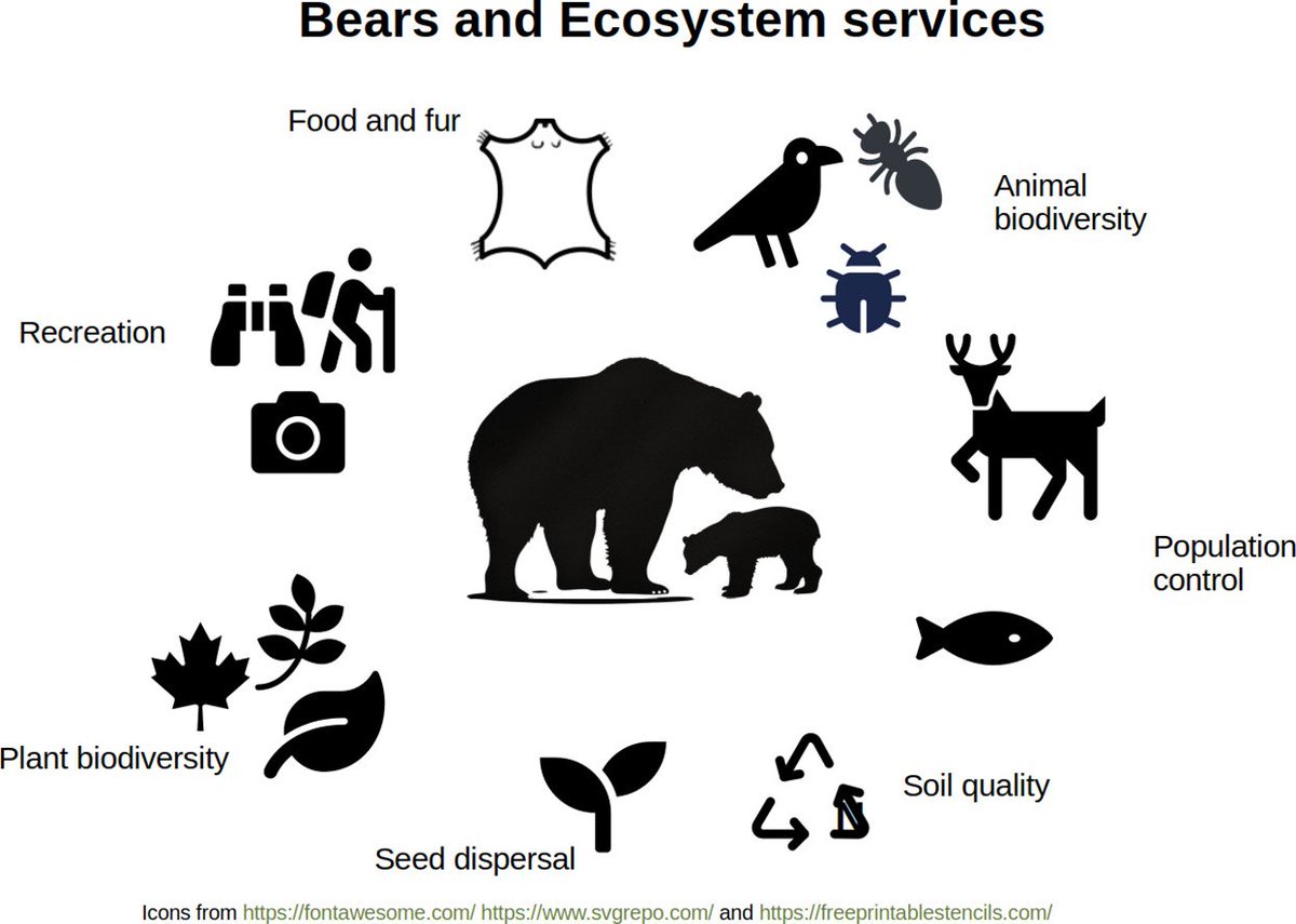 inst_humboldt's tweet photo. Nuestro investigador Mauricio Vela participó en el análisis de +1.400 estudios sobre osos y servicios ecosistémicos. Mientras el Norte Global lidera la investigación, en el Sur hay un vacío crítico: 
¡solo hallamos 3 publicaciones para el oso andino!🐻 

📑https://t.co/CK8r1HpNpN https://t.co/MXwksiyUQV