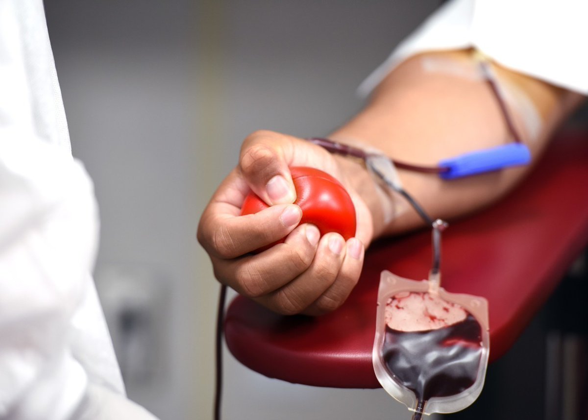 thenews_fr's tweet photo. 🇫🇷🩸 SANTÉ — Le plasma que vous donnez gratuitement est ensuite vendu par l'État à l'industrie pharmaceutique — 49% du chiffre d'affaires réalisé à l'international.

Comment ça marche : l'Établissement français du sang (EFS) collecte le plasma des donneurs, puis le revend au Laboratoire français du fractionnement et des biotechnologies (LFB) — son unique client, fixé par décret à 160€ HT le litre pour le plasma issu de plasmaphérèse, et environ 77€ HT le litre pour le plasma issu d'un don de sang total classique.

Le LFB fabrique ensuite les médicaments (immunoglobulines, albumine, facteurs de coagulation...) et les vend aux hôpitaux, à l'Assurance maladie, et à l'export — notamment en Belgique, Allemagne, Italie, Espagne, Royaume-Uni, Turquie, Mexique et aux États-Unis.