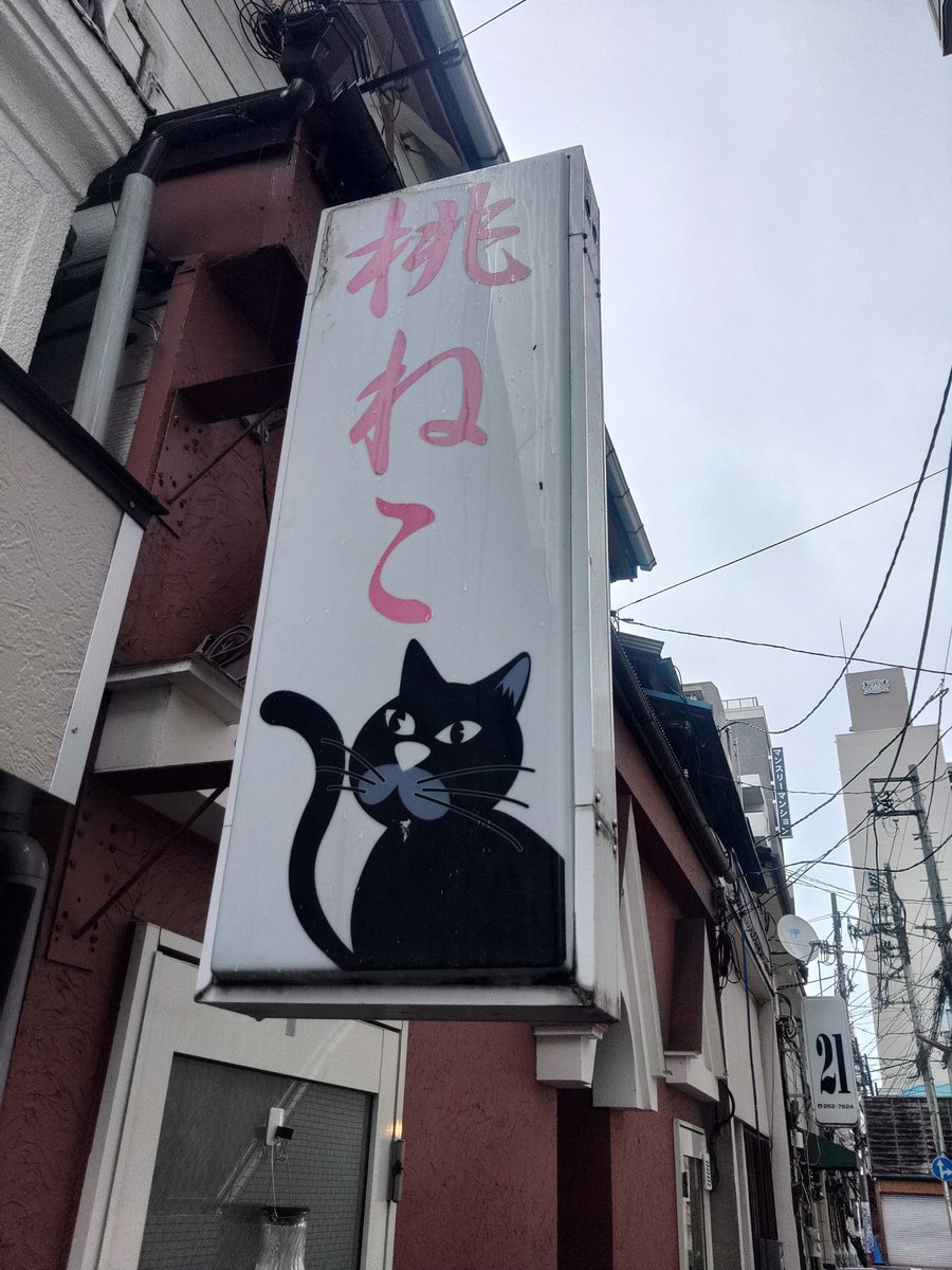 桃ねこto雪風openしました 雨がパラついたりな天気ですが 楽しく飲み