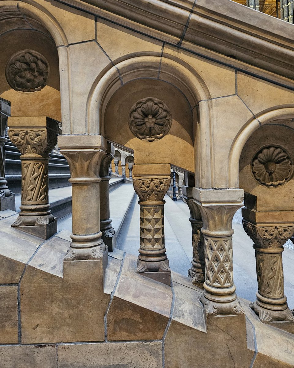 NHM_London's tweet photo. A staircase...but make it extra! ✨ 

You’ll find exquisite carvings of animals and plants all around the Hintze Hall staircases! Have you ever noticed them? https://t.co/JaOXUJcU5D