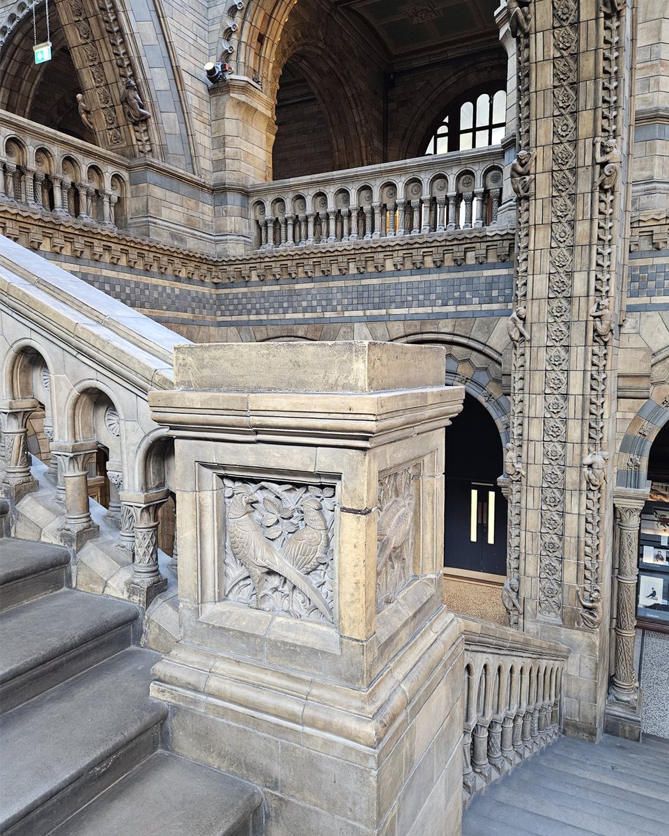 NHM_London's tweet photo. A staircase...but make it extra! ✨ 

You’ll find exquisite carvings of animals and plants all around the Hintze Hall staircases! Have you ever noticed them? https://t.co/JaOXUJcU5D