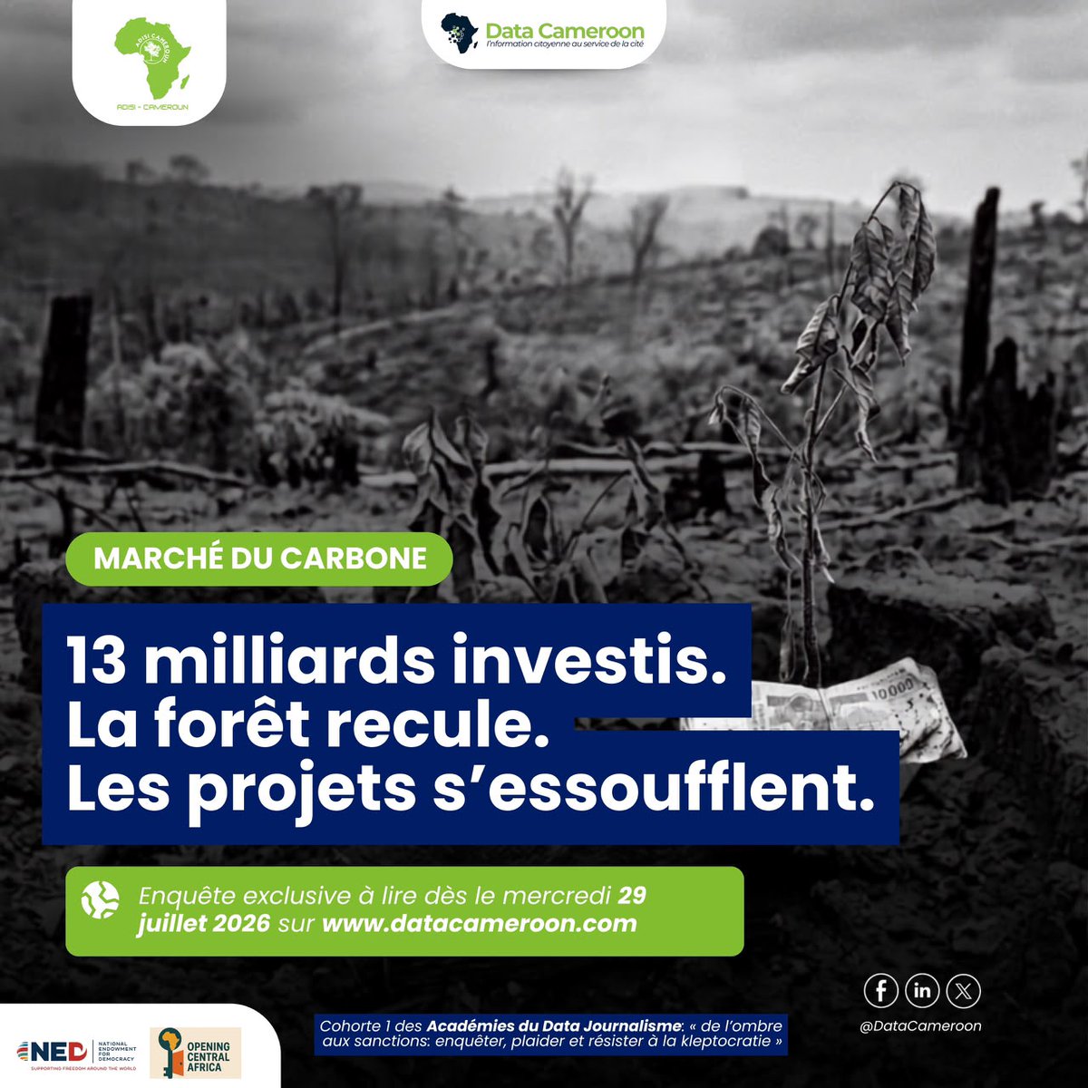 KAMTCHANG1's tweet photo. #kleptocratie #foret #Cameroun
Un peu plus de 13 milliards Fcfa investis par l'Etat du #Cameroun et ses partenaires au developpement dont l'@AFD_France, pour developper le marché du #carbone. malheureusement sur le terrain, l'effet inverse est observé.
Témoignages de terrain, questionnement des data, rivalités et cacophonie institutionnelles, les boursiers des Académies du #DataJournalisme vous racontent tout demain dès 09h sur https://t.co/gJ72BAdSLK.