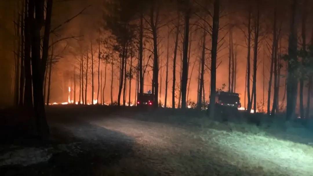 forefrontnwes's tweet photo. French Government: 162 suspected arsonists have been arrested
https://t.co/14EFWnRHeg https://t.co/yScYubCXH7