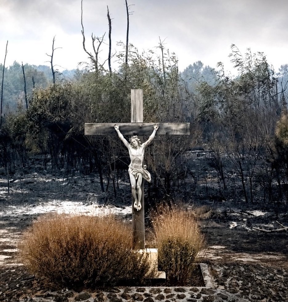 lechochretien's tweet photo. ⚪🇫🇷 𝗙𝗟𝗔𝗦𝗛 𝗜𝗡𝗙𝗢 — Un crucifix est resté debout après les violents incendies qui ont ravagé la Gironde et les Landes. https://t.co/aQkfeMQ1bg