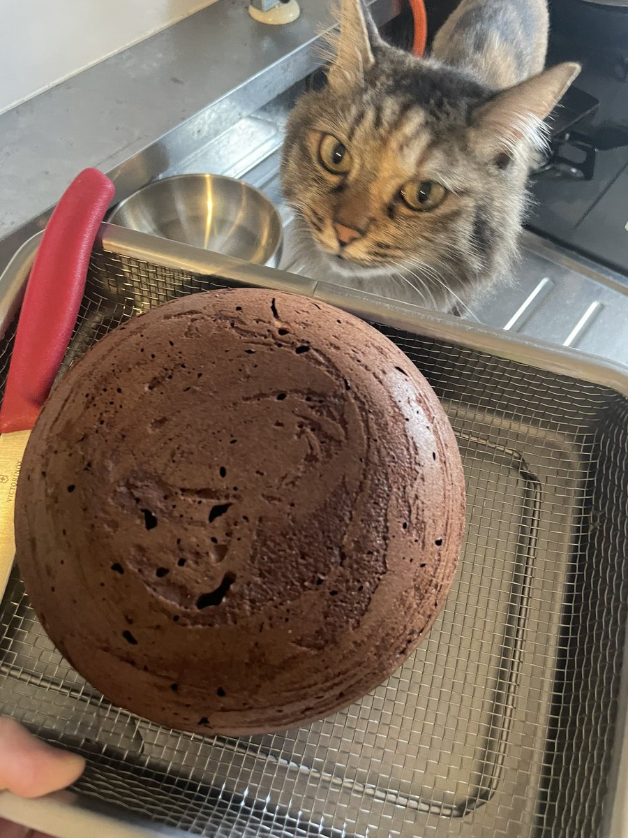 getuko0601's tweet photo. またばいんばいんのチョコケーキ作った。
美味し。地震怖い。 https://t.co/RIOXaz8aQx