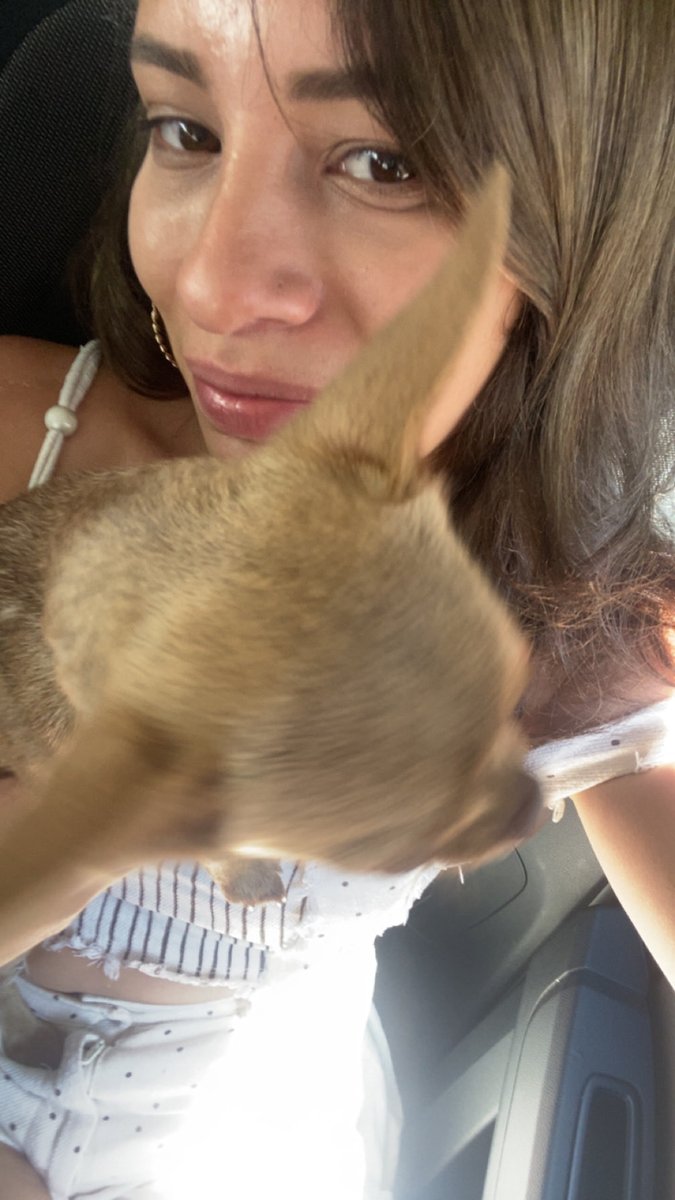 SupradinElif's tweet photo. Köpecik ve dump buraya da atilsin https://t.co/7KsrFgtYJ3