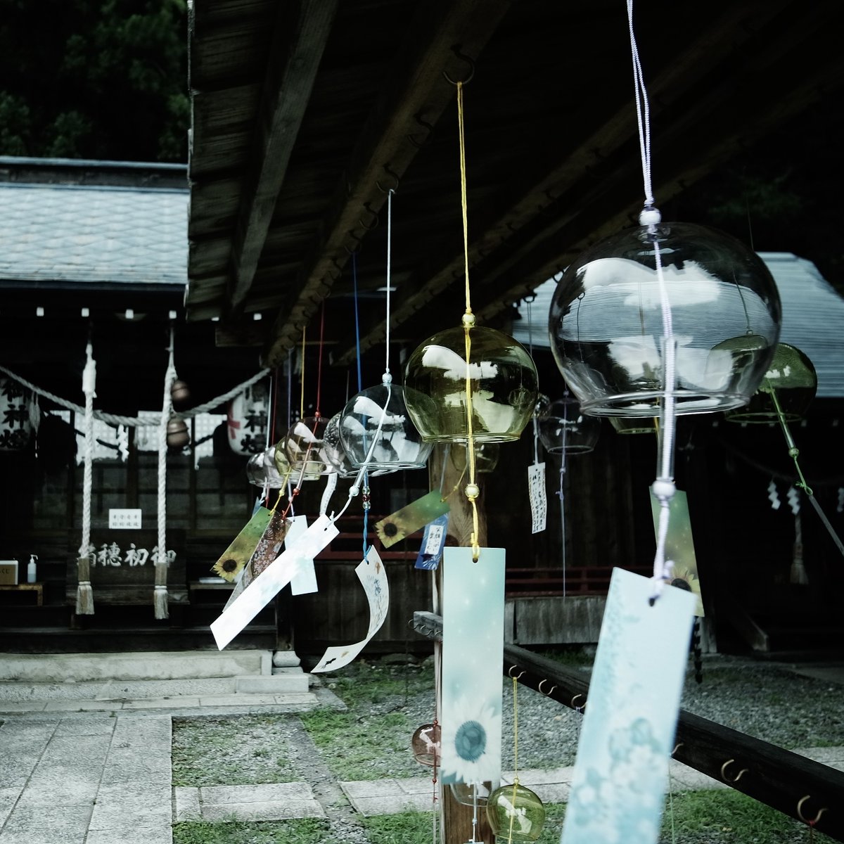 JollyRogers_88's tweet photo. 盛岡市 浅岸薬師神社
RICOH GR DIGITAL Ⅳ
#RICOH #GRDIGITAL #GRD https://t.co/UeF39kIliB