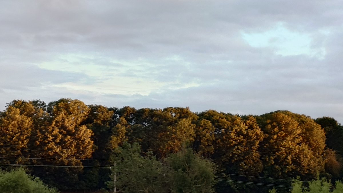 MTravelsPR's tweet photo. @DiscoverRutland #Barrowden early evening views
#walkthisway https://t.co/m0F0hnoCKd