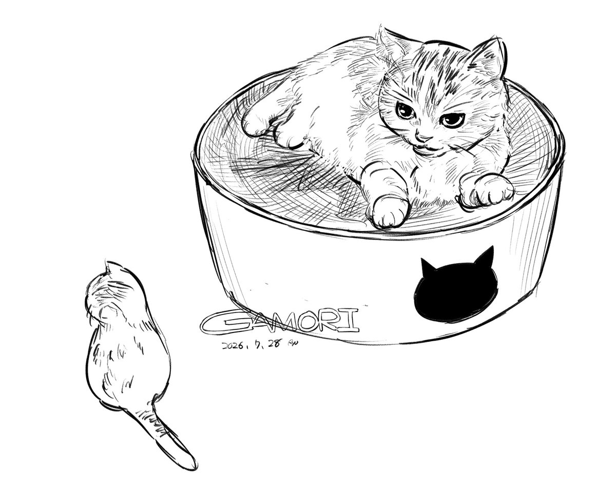 Ryomtud8's tweet photo. うちの子のミケの方です🐈
#デジタルスケッチ https://t.co/t3uJcbWj8S