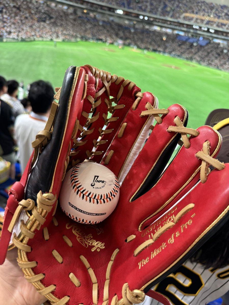 tkm_kor's tweet photo. やったー！！！！！！
サトテルのホームランボール取ったぁぁぁ！！！！

ありがとう！佐藤くん！🐯 https://t.co/PTz3omivVm