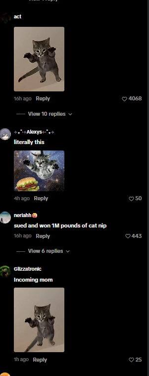 MayuriSolss's tweet photo. All these cat coins why dont the trenches just come together and run a actual meme

This cat is going viral all over tiktok right now 

and its literally the perfect basic cat meme

everyone is using it as a meme template in the comments

Flying ketamine Cat

https://t.co/z5K6xdamKt

name proof:https://t.co/hvukffXnoz