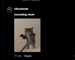MayuriSolss's tweet photo. All these cat coins why dont the trenches just come together and run a actual meme

This cat is going viral all over tiktok right now 

and its literally the perfect basic cat meme

everyone is using it as a meme template in the comments

Flying ketamine Cat

https://t.co/z5K6xdamKt

name proof:https://t.co/hvukffXnoz