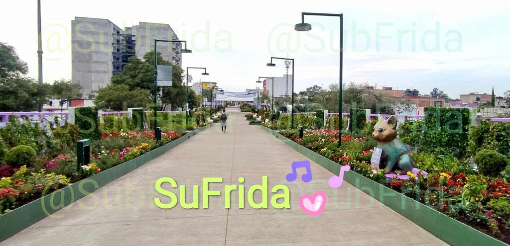 SuFrida༺❤️🔥༻ tweet media