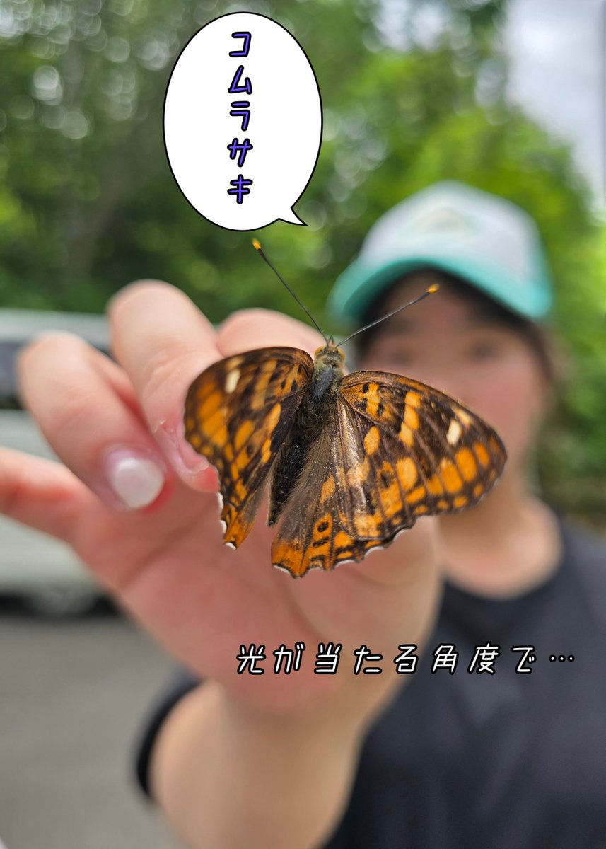 鬼ひげ tweet media