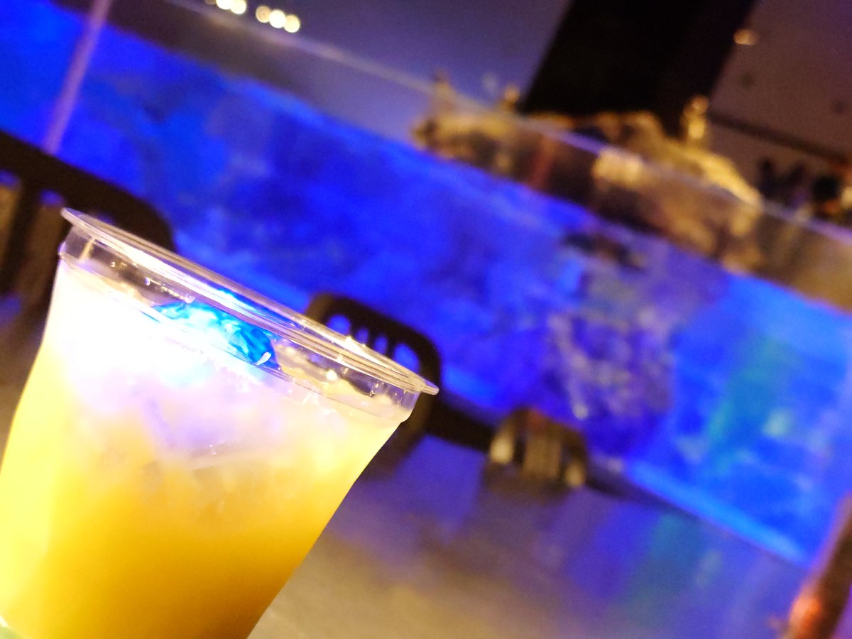 Luna_kewi's tweet photo. すみだ水族館でのんでるよ https://t.co/DoM0ejYcat