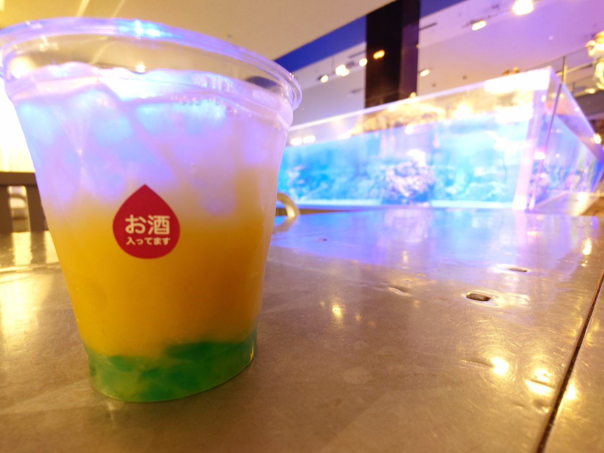 Luna_kewi's tweet photo. すみだ水族館でのんでるよ https://t.co/DoM0ejYcat