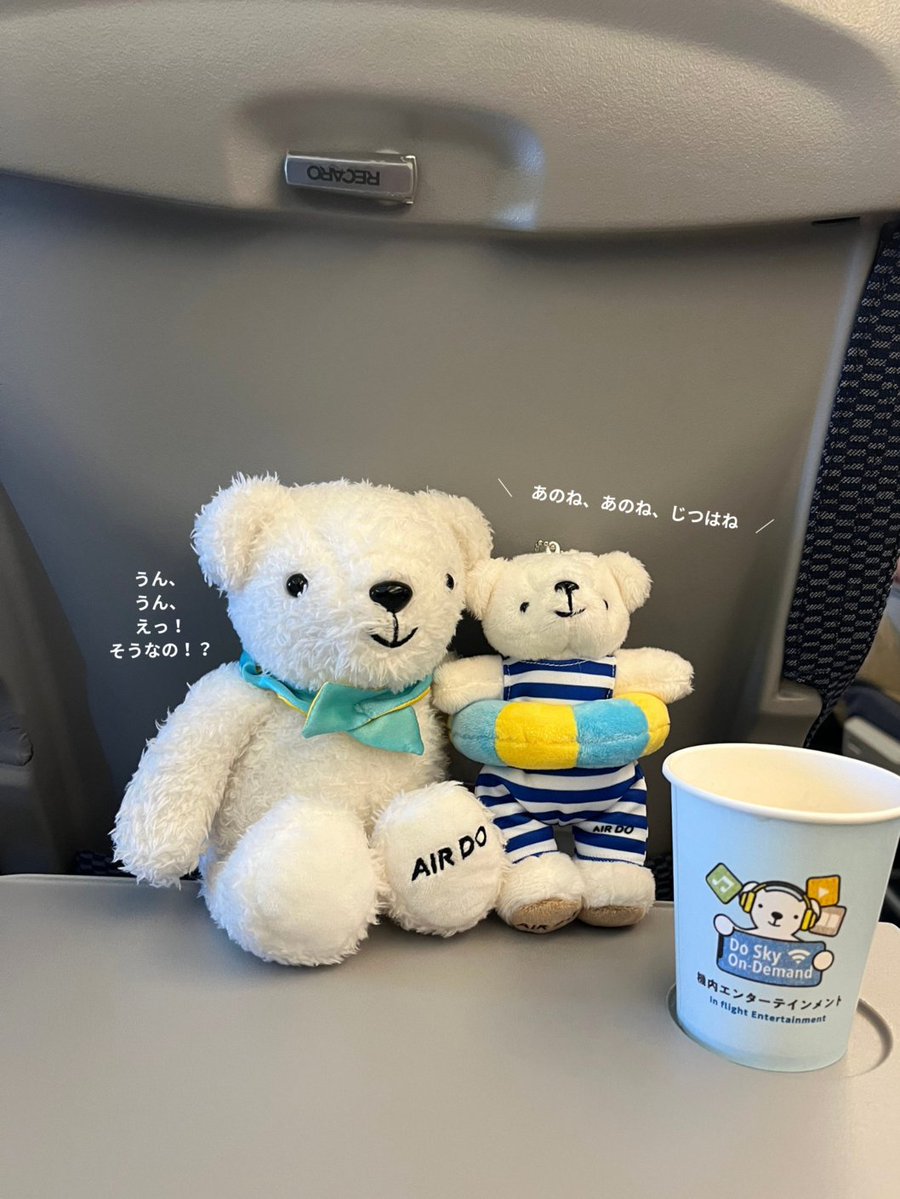 airdo_hokkaido's tweet photo. 「マスコットベア・ドゥ（ちゃぷちゃぷスイミングVer.）」を機内で購入できるのは7月末までなのです…！！💨 https://t.co/ueYQzkU8dR