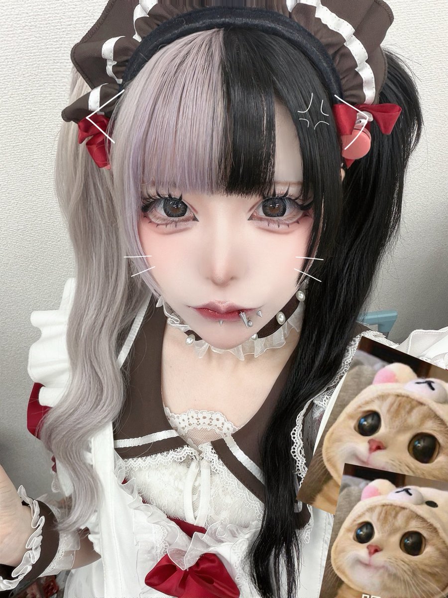 neconeco00__'s tweet photo. ค(^╻" ̫╻^)💢ﾌﾟﾘﾌﾟﾘﾈｺｻﾝ https://t.co/rhwiDE9JEq