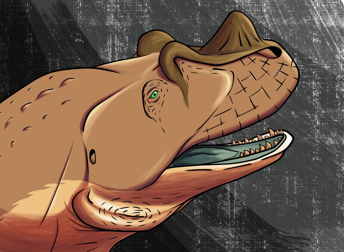 sugnoma0's tweet photo. Dia 26 fez 1 ano que comecei a desenhar, fico muito feliz em ver a evolução que tive nesse tempo, e agradeço a todos que me ensinaram e me apoiaram até hoje mesmo que indiretamente. https://t.co/e12z5IbKvw