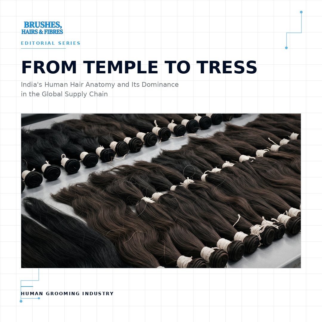 BrushIndustry's tweet photo. New on Brushes, Hairs &amp; Fibres

From Temple to Tress: India's Human Hair Anatomy and Its Dominance in the Global Supply Chain.

A look at Remy hair, temple sourcing, processing, exports and why India remains the backbone of the global human hair industry.

https://t.co/NibJD9b5sy https://t.co/PLSl6sdiDC