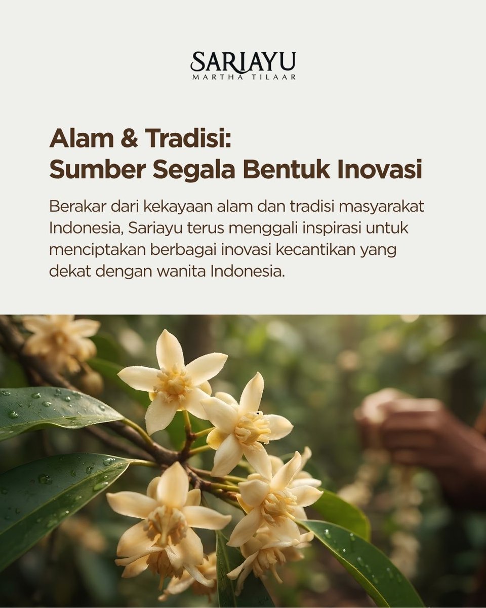 Sariayu_MT's tweet photo. Sudah berdiri dan terus melakukan inovasi selama lebih dari 50 tahun, melalui alam dan tradisinya Sariayu selalu berusaha untuk selalu relevan dengan kebutuhan kulit wanita Indonesia💚

#Sariayu #SariayuMarthaTilaar #CleanBeauty https://t.co/ZXxTcgmJbU