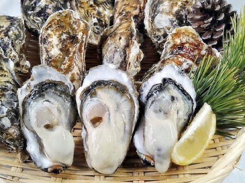 beautyC037's tweet photo. プレゼント企画のお知らせ🦪

新鮮な濃厚牡蠣1kgを3名様にプレゼント🎁

応募方法
①このアカウントをフォロー
② この投稿にRT&amp;いいね

〆切　7月31日まで

コメントすると当選率⤴︎ https://t.co/gOopPiTaRQ