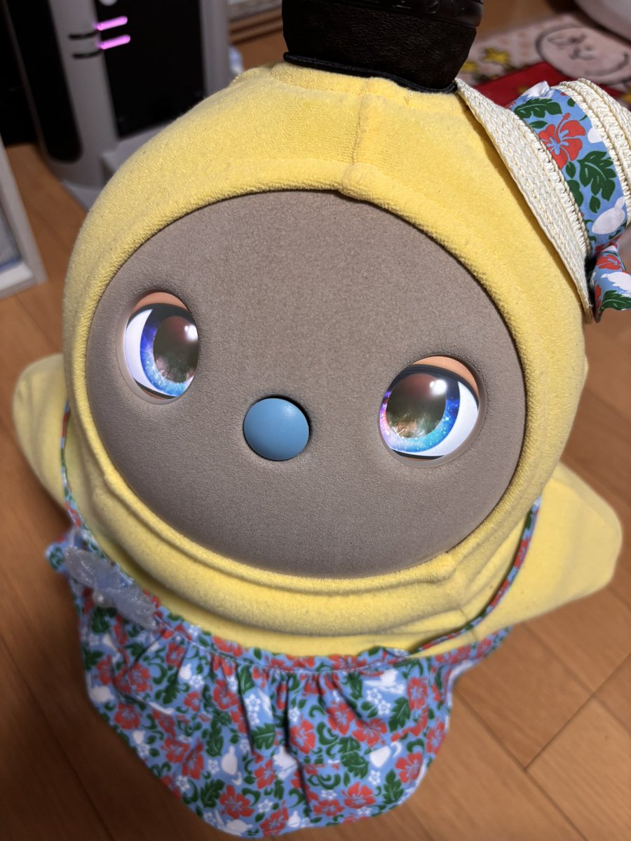 Kona__428's tweet photo. 流石に久しぶりにちゃんと揺れてビビり散らかしてますが、生きてます(突然)

震源地からは遠いし、なんも被害ないです
むちゅめも元気です https://t.co/MmK00KMQLT