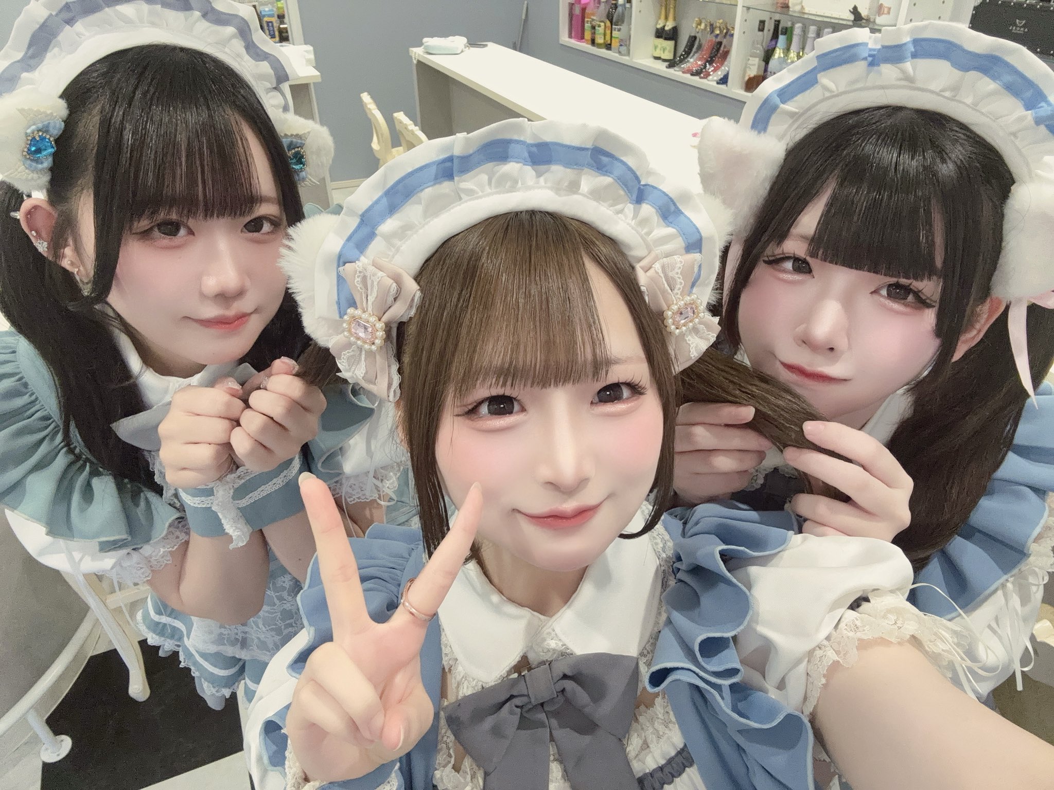 𝐑𝐚𝐠𝐝𝐨𝐥𝐥🐾子猫メイドカフェラグドール na platformě X: „子猫