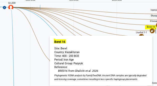 aboutadna's tweet photo. New Ghalichi 2026 Elite Pazyryk (Berel 16) male has Q1b-L330 on ftDNA (very likely B287>BZ93 subclade, a Yeniseian-related  subclade common in Berel/Bulan-Koby- ftDNA).

His profile is regular Eastern/Central Saka (40_50% Khövsgöl_LBA, 40-50% Sintashta, and some BMAC) https://t.co/Rkd5e6tytP