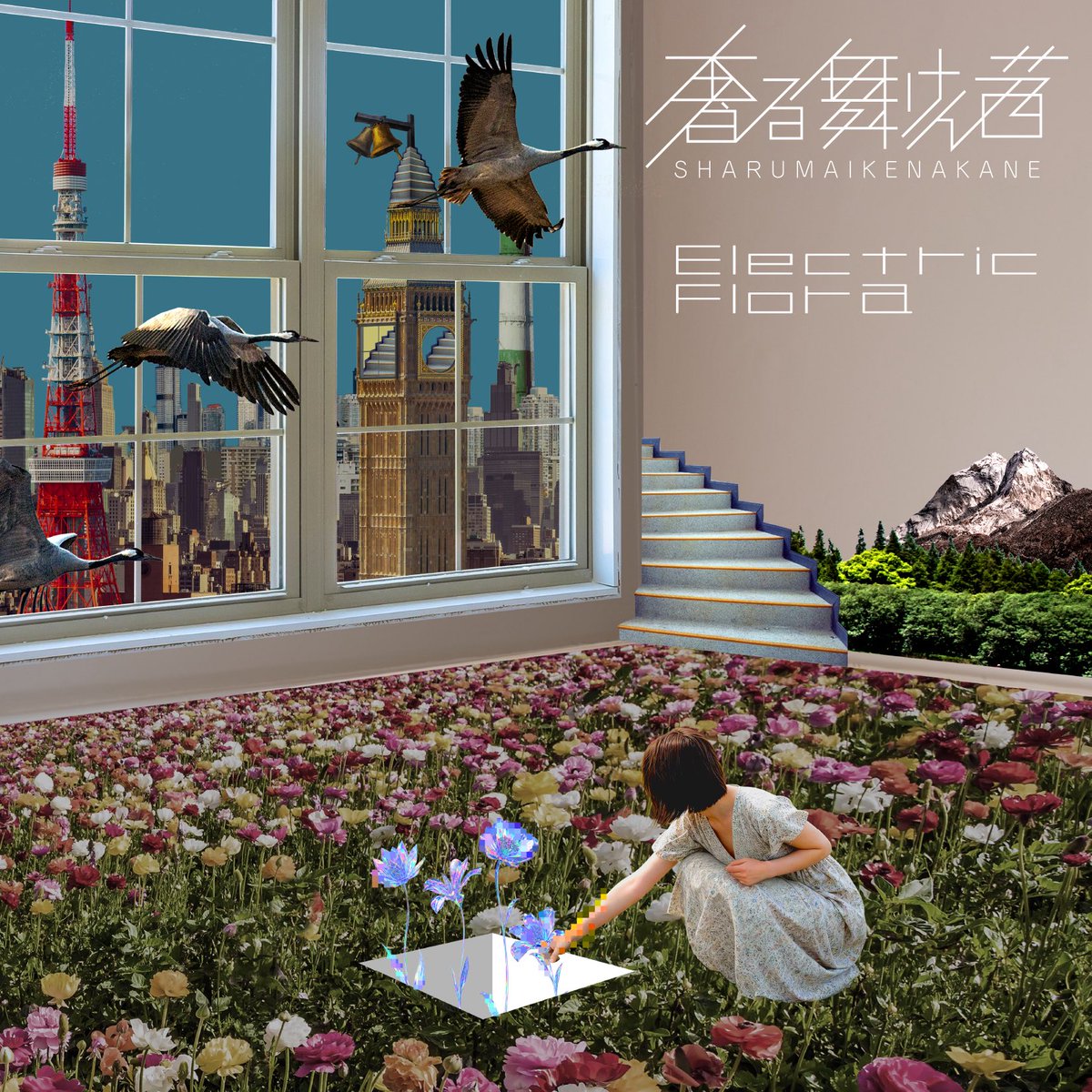 sharumaiken's tweet photo. 【 お知らせ 】

2026/8/6(木) 0:00

奢る舞けん茜NEWアルバムRelease！

◤
　　Electric Flola
　　　　　　　　　◢

各種サブスク・配信サイトにてリリース！

8/30のワンマン〝Thanks Coming〟から、会場物販にてCD発売開始！

🎧配信
https://t.co/lpkQAsVHh5

8/6 お楽しみに💐 https://t.co/LzKl1ETI41