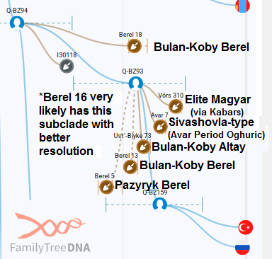 aboutadna's tweet photo. New Ghalichi 2026 Elite Pazyryk (Berel 16) male has Q1b-L330 on ftDNA (very likely B287>BZ93 subclade, a Yeniseian-related  subclade common in Berel/Bulan-Koby- ftDNA).

His profile is regular Eastern/Central Saka (40_50% Khövsgöl_LBA, 40-50% Sintashta, and some BMAC) https://t.co/Rkd5e6tytP