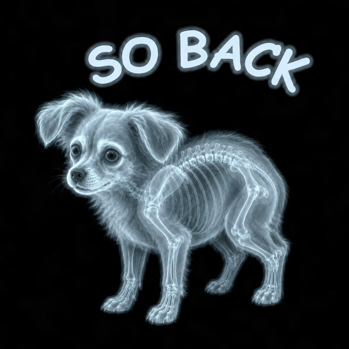 TillyOnChain_'s tweet photo. Oh we are so (mostly) back

$Tilly to a Billy https://t.co/417VOj828j
