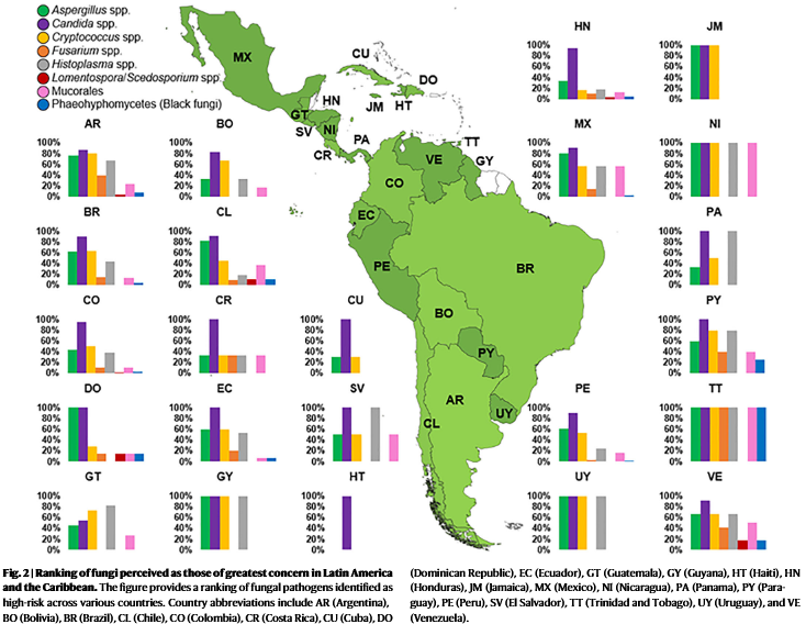 SalmantonGarcia's tweet photo. Timely diagnosis of invasive mycoses saves lives 🦠

@efisg_escmid study reveals disparities in access to diagnostics and therapies across #LATAM #Caribbean, highlighting urgent need to strengthen laboratory capacity and improve access to essential drugs

https://t.co/OVmh9RLUfE https://t.co/YjY3h6sOHW
